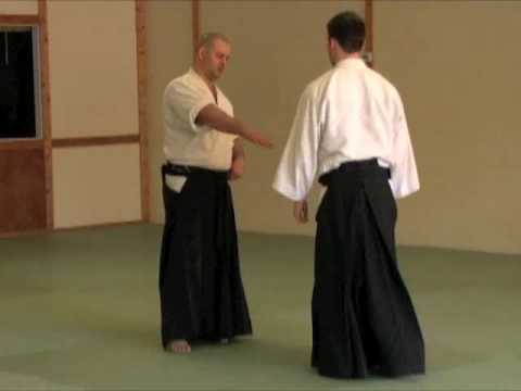 Aikido In Grand Rapids by Germanov