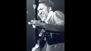 Homesick James - Homesick's original dust my broom (1975)