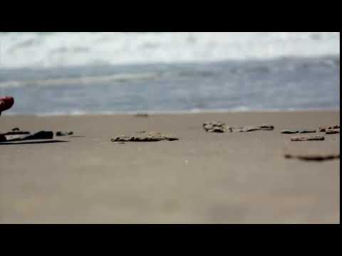 Beach Footprints Walking Sand Water Sea Summer  By Asim Asif