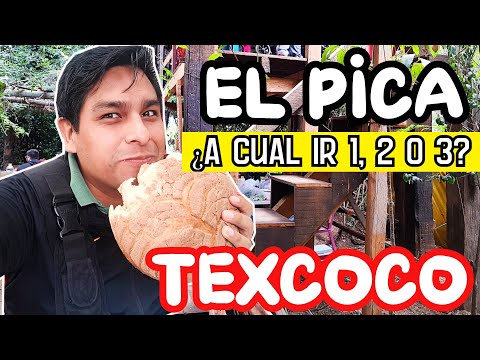 EL FAMOSO "PICA" DE TEXCOCO ¿A CUÁL IR 1, 2 O 3? - BARBACOA Y FESTEJO DE CUMPLEAÑOS DE MAMÁ