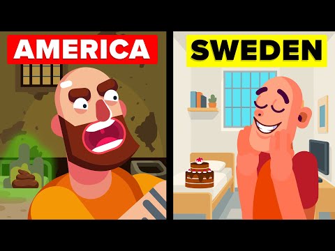 USA vs Sweden - What First 24 Hours in Prison Feel Like