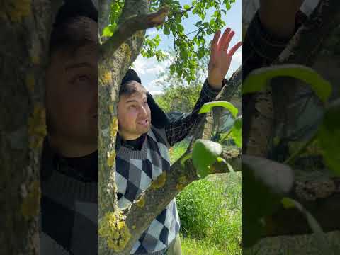 #comedie #sketch #shorts #marian_mariutei #comedie #moldova #pentrutine #romania #george_mariutei