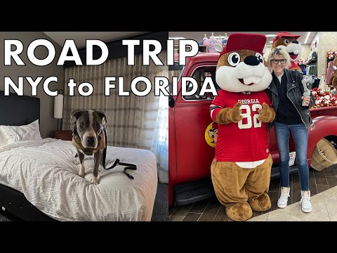 LIVE Driving NYC to Fort Lauderdale Florida Road Trip w/Dog in Rental Car Part 4