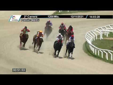 CARRERAS HIPODROMO LAS PIEDRAS - 211112 c02 1° MI AMIGO BORRACHO