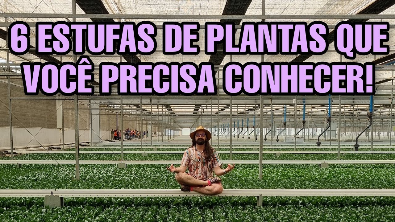 VISITEI 6 ESTUFAS de produção de PLANTAS em Holambra - Estufas Abertas - turismo
