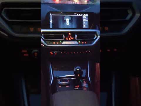 2020 BMW 320I  Bs 6 INTERIOR.