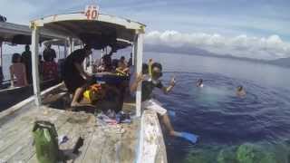 preview picture of video 'Visit and Diving/Snorkeling at Menjangan Island, Bali!'