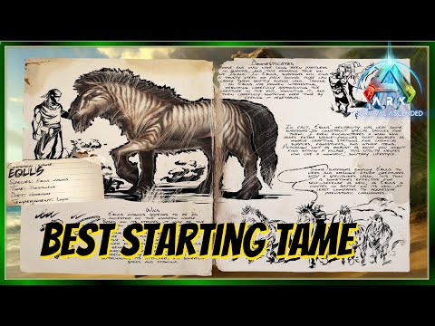 The Equus - Best Starting Tame - Ark Basics and Everything You Need to Know!