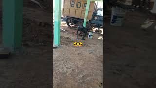 Download lagu bocah ngapak iyakk😅 mp3 Download lagu bocah ngapak iyakk😅 mp3