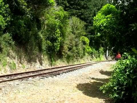 Silversteam English Electric locos 505 & 508