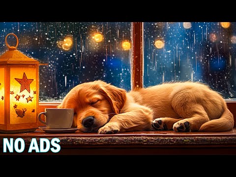 24-Stunden-Entspannungsmusik für Hunde | Ganztägige Ruhe zum Einschlafen, zur Linderung von Angstzus