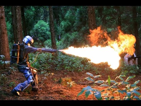 HaralambosKovusiadi’s Video 33036747712 J_stFiLEPdw