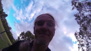 Impulsive Behaviour / Baby Animals - At the End of the Day