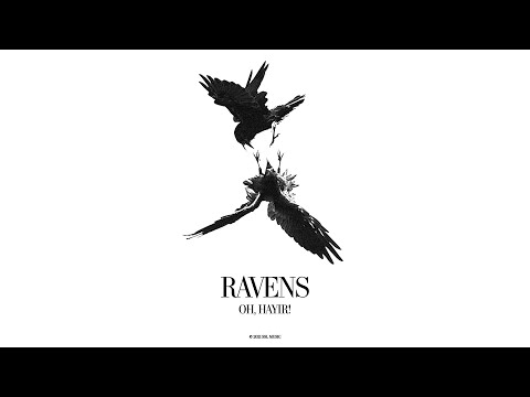 OH, HAYIR! - Ravens