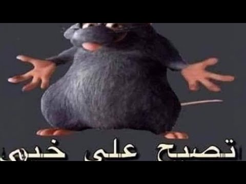 1 Łomiankowska wyprawa krzyżowa (Istambul Kebab Łomianki) | recenzja