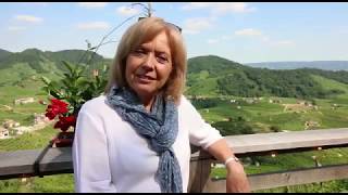 5 buoni motivi per visitare le colline tra Conegliano e Valdobbiadene