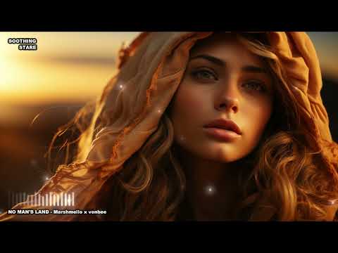 No Man's Land - Marshmello x Venbee