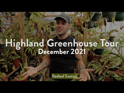 RARE NEPENTHES AND AROIDS | December Highland Tour