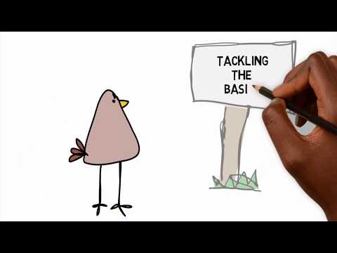 Python Regular Expressions Real World Problems 1