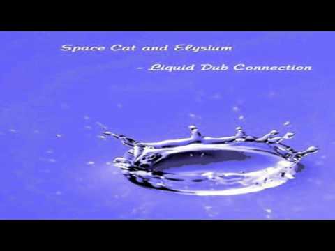 Space Cat and Elysium - Liquid Dub Connection