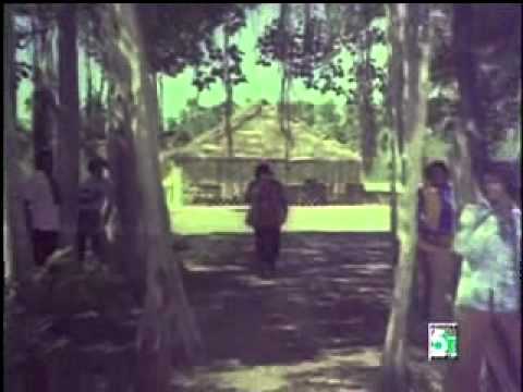 Patta Kathi Paravan