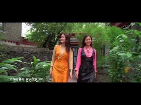 Searchen metok by norbu samdup