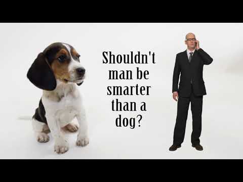 The Dog's Chase | One Minute Wisdom | Monday Motivation