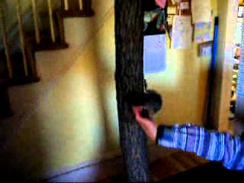 TwitchThe Squirrel Live 036.avi