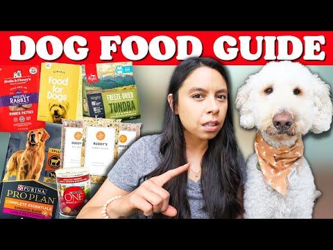 Nutritionist's DOG FOOD Guide 🐶TRUTH about pet food revealed!