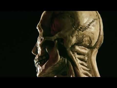 Nicolai Dunger - I Once Was A River (Official Video)