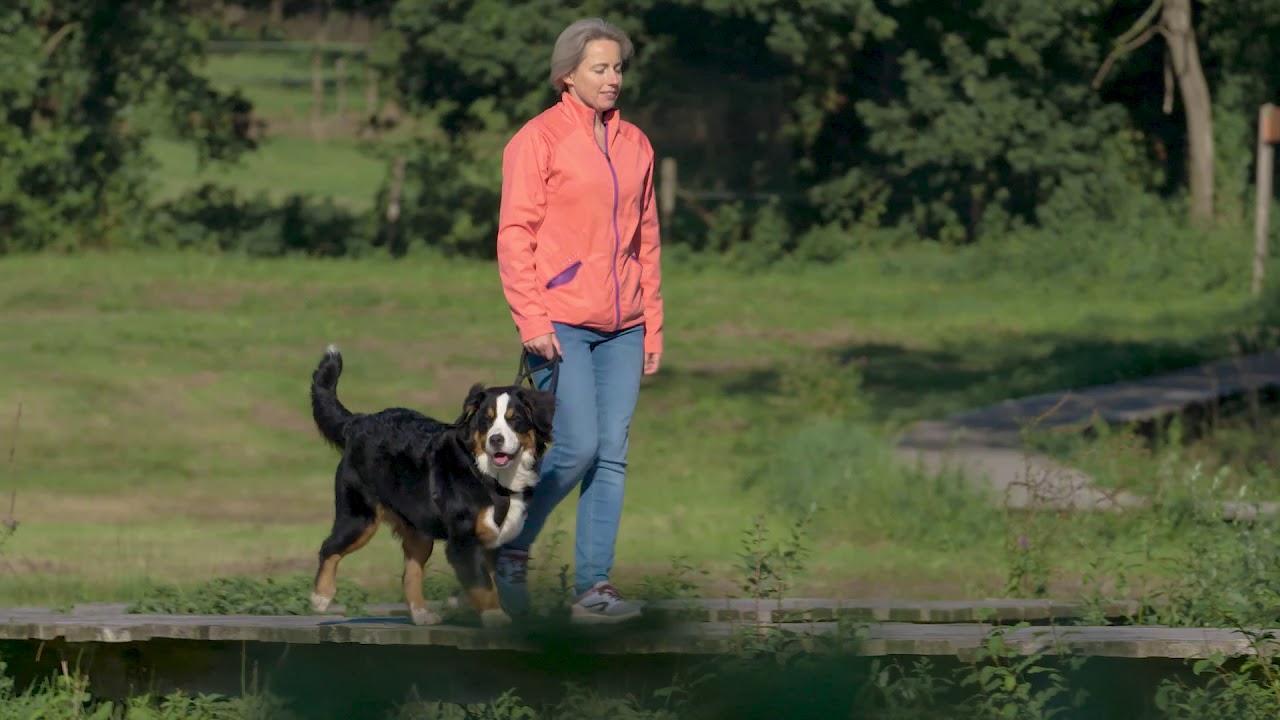 Wandelen in het najaar in de regio Arnhem