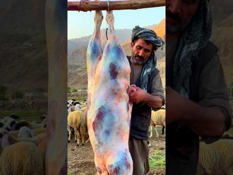 Authentic afghani pulao recipe on mountain| Kabuli pulao | Cooking Mutton pulao | Mutton Recipes