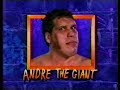 Royal Rumble 91 Report Incl André The Giant 1990 12 09
