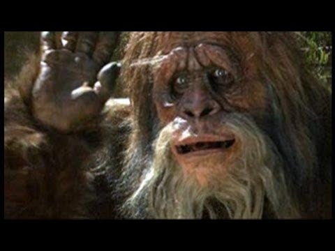 Danger! Sekka Burning Abyss 1st Place Deck Profile - Konami Yugioh Head Judge Build How to & Why