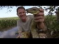Steve Wrestles With A Green Anaconda Deadly 60 BBC Earth