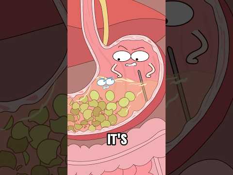Why Do Bathroom Urges Strike After Eating Grapes?#animation #funny #shorts