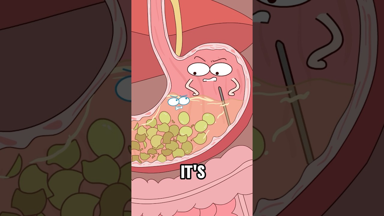 Why Do Bathroom Urges Strike After Eating Grapes?#animation #funny #shorts