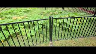 Pumpkin Patch at Spooky House 8/13/2025