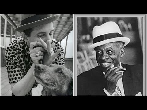 Mike Stevens talks & plays DeFord Bailey"s "Pan American Blues"