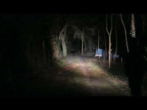 Emisar D4V2 tint/shift 2xW1 6000k+2xLH351D 90CRI 5000k vs. 2xW2 6000k+2×219BT V1 3500k  comparison