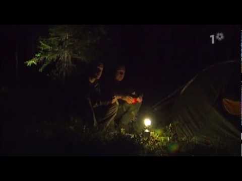 Mitt i naturen_Vargspaning i Jangenreviret 2007-10-16