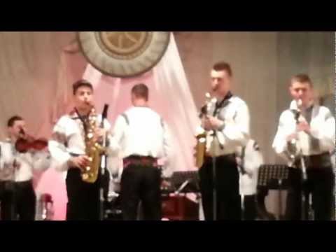 Croitor Cosmin, Rosu Petrisor, Cosmin Apostol - Suita din Banat