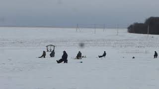 Платная рыбалка в белгородская области
