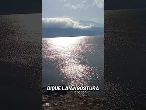 #rodando toda la #argentina atravesamos la yunga de #tucuman hasta llegar a...#viajeros #vanlife