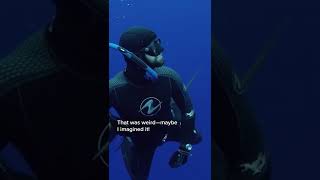 Download lagu TFW you realize you were photobombed by a shark. 🦈 #SharkFest #Shorts mp3 Download lagu TFW you realize you were photobombed by a shark. 🦈 #SharkFest #Shorts mp3