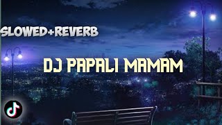 Download lagu DJ PAPALI MAMAM Slowed Reverb🎧 mp3 Download lagu DJ PAPALI MAMAM Slowed Reverb🎧 mp3