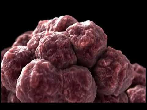 img-video