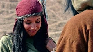 Sons of Promise #7: For the Love of Rachel