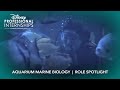 Aquarium Marine Biology Disney Professional Internship Role
