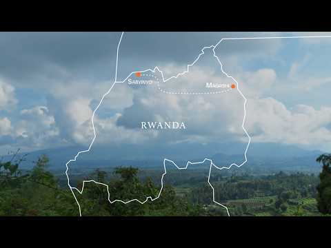 Mountain Gorillas & Big Five Safaris - Explore Rwanda With Wilderness
